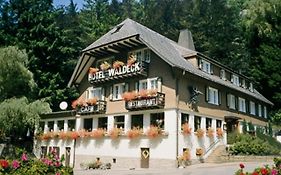 Hotel Waldeck in Todtnau